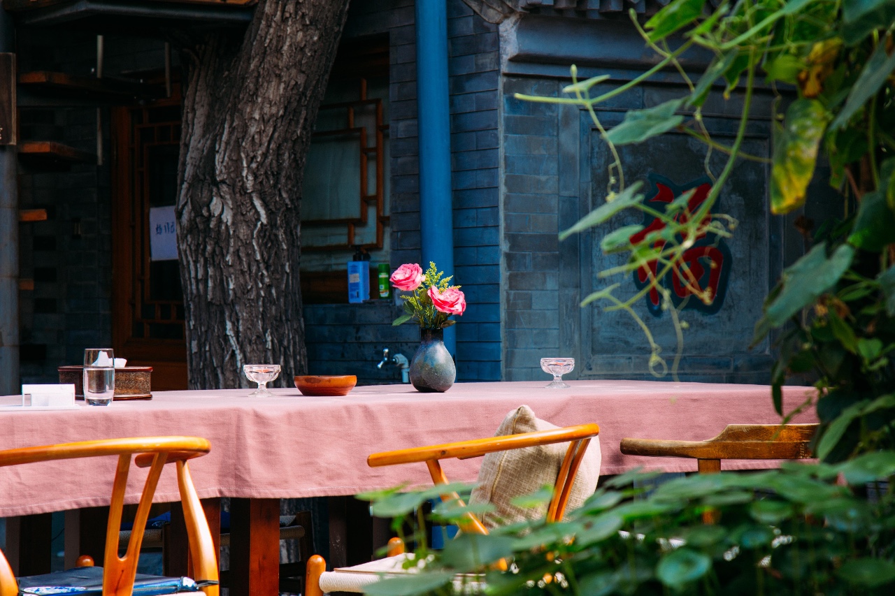 京城·63號(hào)院子，有院子老樹老北京的煙火氣息