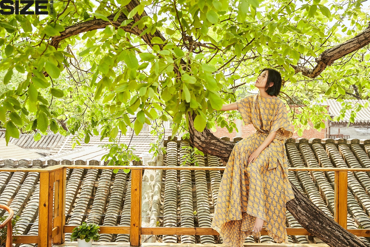 京城·63號院子，有院子老樹老北京的煙火氣息