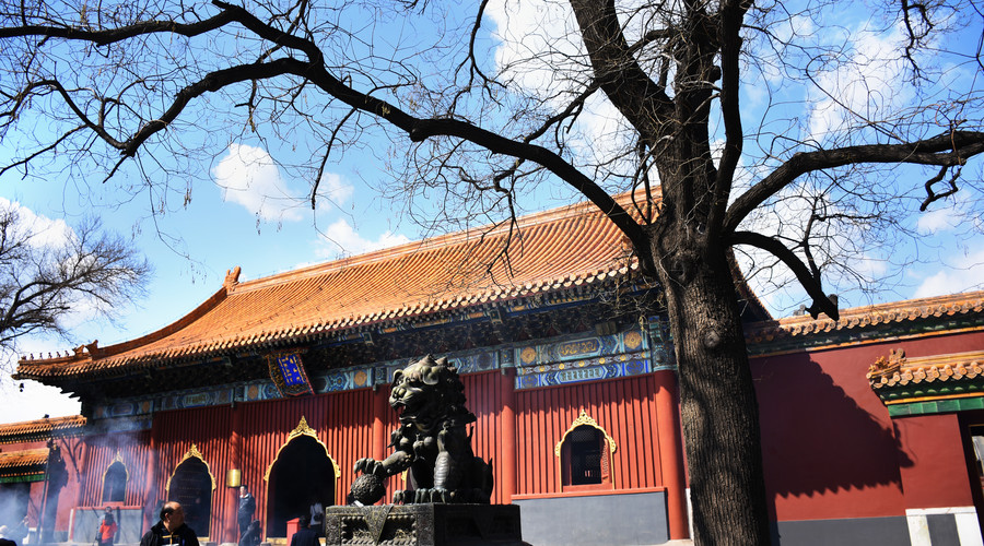 京城·63號(hào)院子，有院子老樹(shù)老北京的煙火氣息