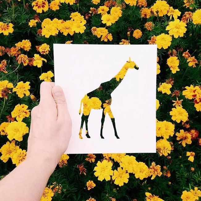 換個角度看世界：把剪紙帶進(jìn)大自然