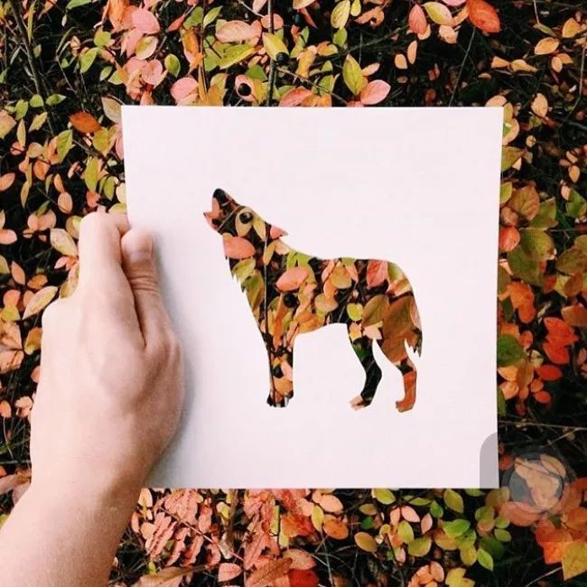 換個角度看世界：把剪紙帶進大自然