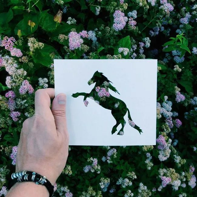 換個角度看世界：把剪紙帶進大自然