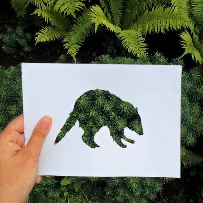 換個角度看世界：把剪紙帶進大自然