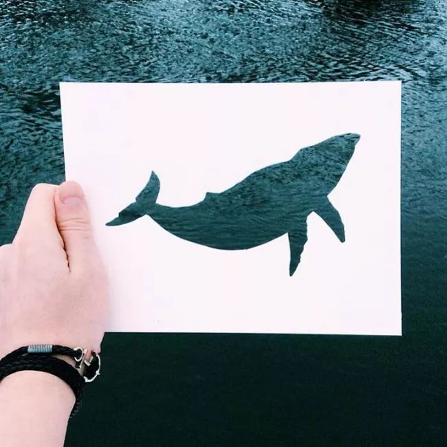 換個角度看世界：把剪紙帶進大自然