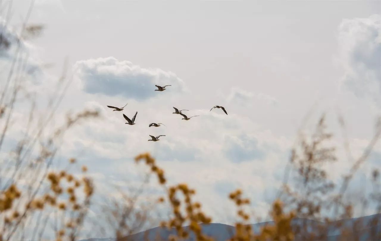 莫干山·宿里，一處桃花源建一處詩(shī)意棲居之所