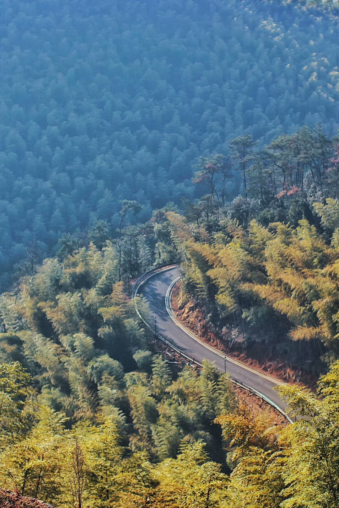 莫干山·宿里，一處桃花源建一處詩(shī)意棲居之所