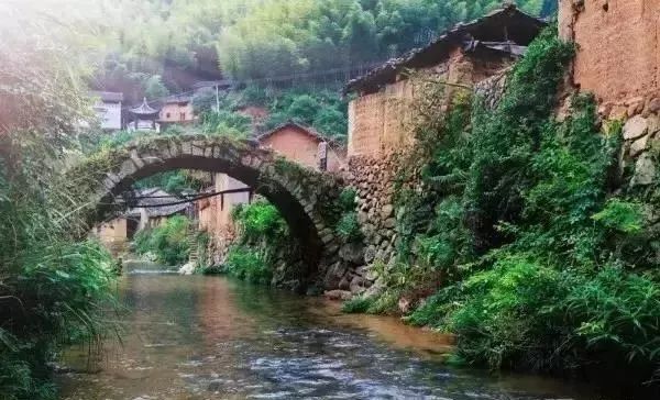 麗水·曼山居，依山而居便不知人間是何夕