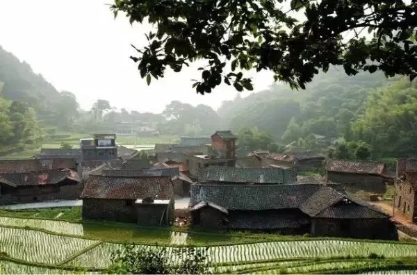 麗水·曼山居，依山而居便不知人間是何夕