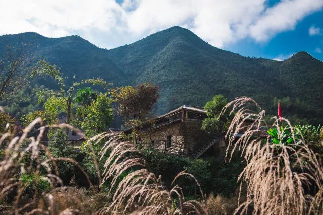 麗水·曼山居，依山而居便不知人間是何夕