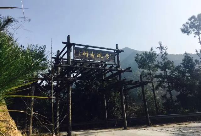 麗水·曼山居，依山而居便不知人間是何夕