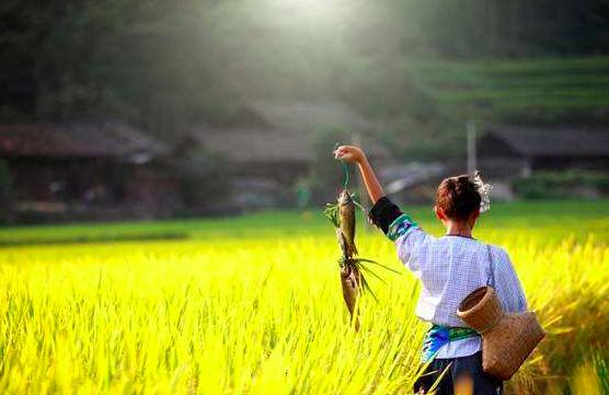 麗水·曼山居，依山而居便不知人間是何夕