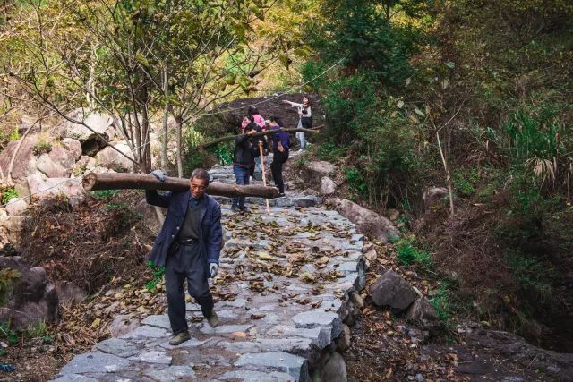 麗水·曼山居，依山而居便不知人間是何夕