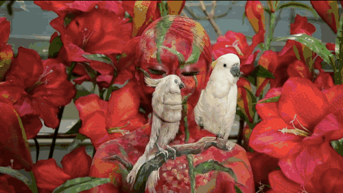 人體彩繪藝術(shù)：在皮膚上畫畫，美爆了!