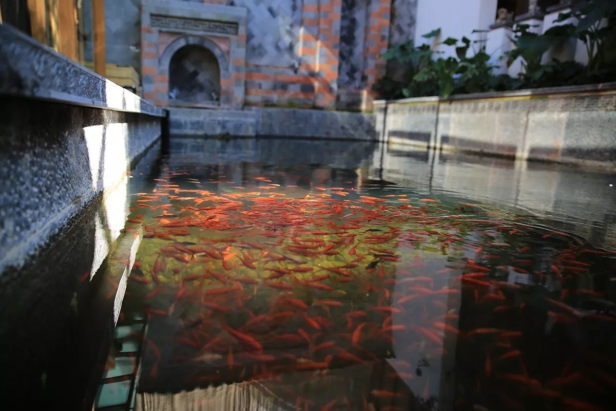 吾鄉(xiāng)尋幽·隱奢酒店，耐人尋味的歷史味的古宅