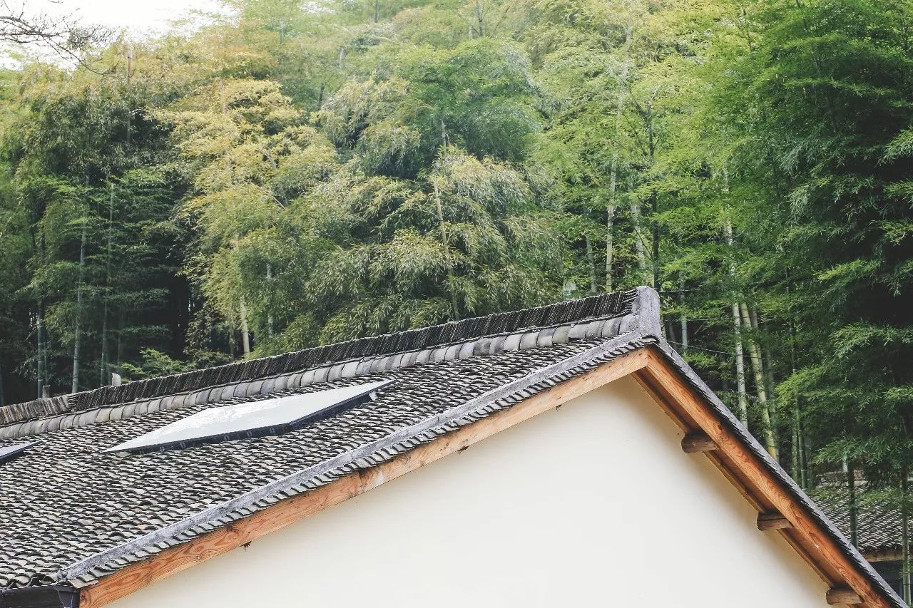 杭州·菩提谷，與你一起私有群山秘境