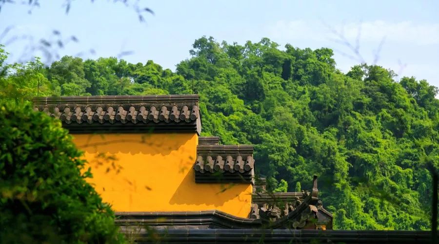 杭州·菩提谷，與你一起私有群山秘境