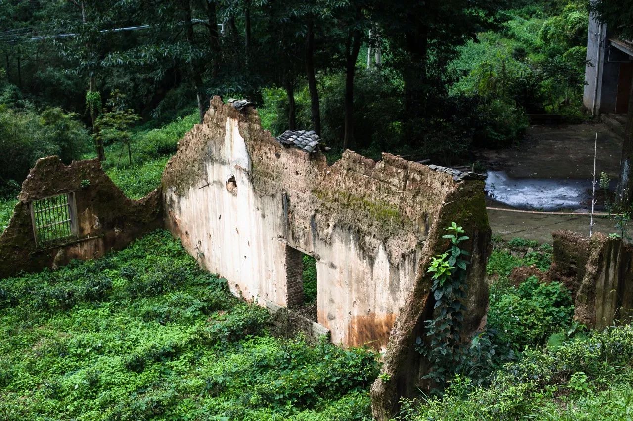 杭州·菩提谷，與你一起私有群山秘境