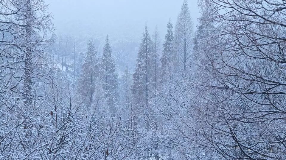 杭州·菩提谷，與你一起私有群山秘境