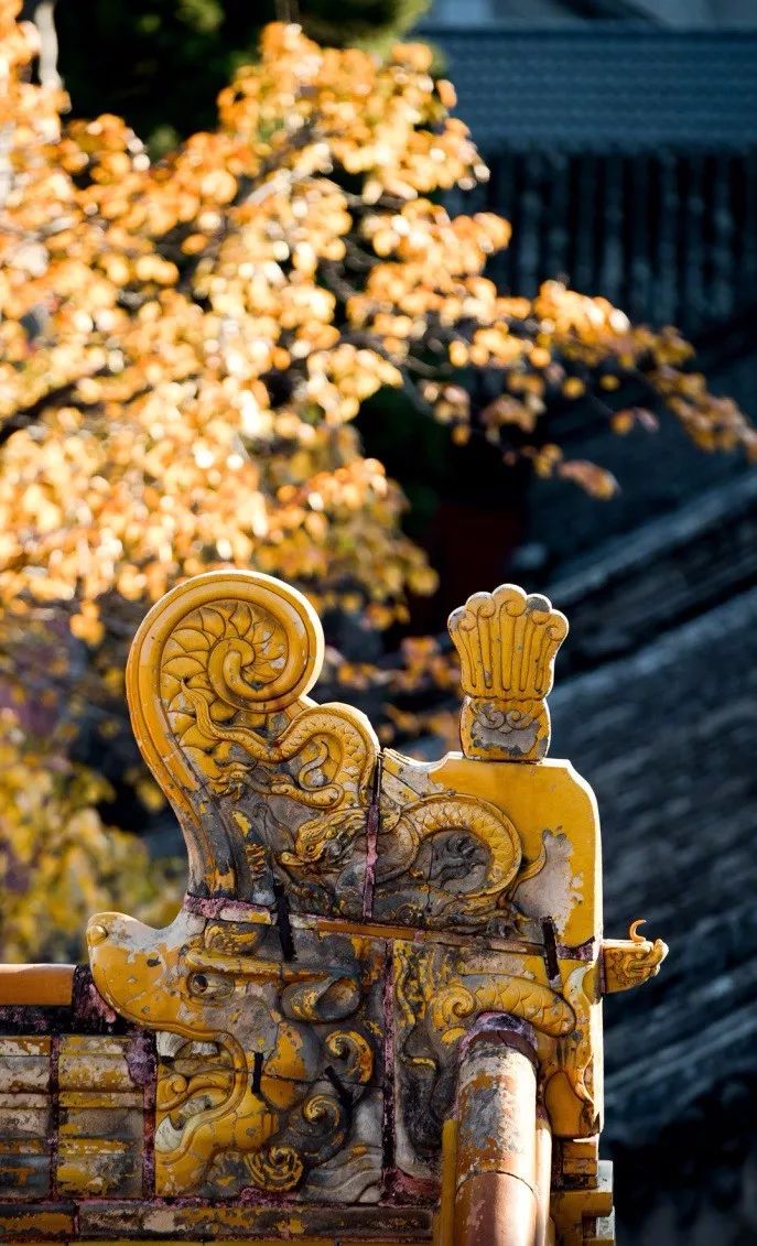 中國最美的配色：紫禁城古建筑的色彩美！