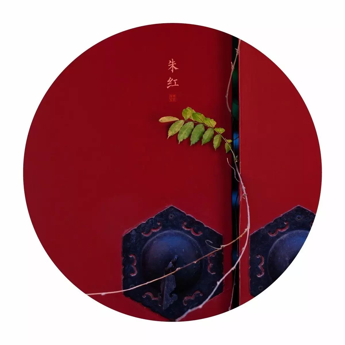 中國(guó)最美的配色：紫禁城古建筑的色彩美！