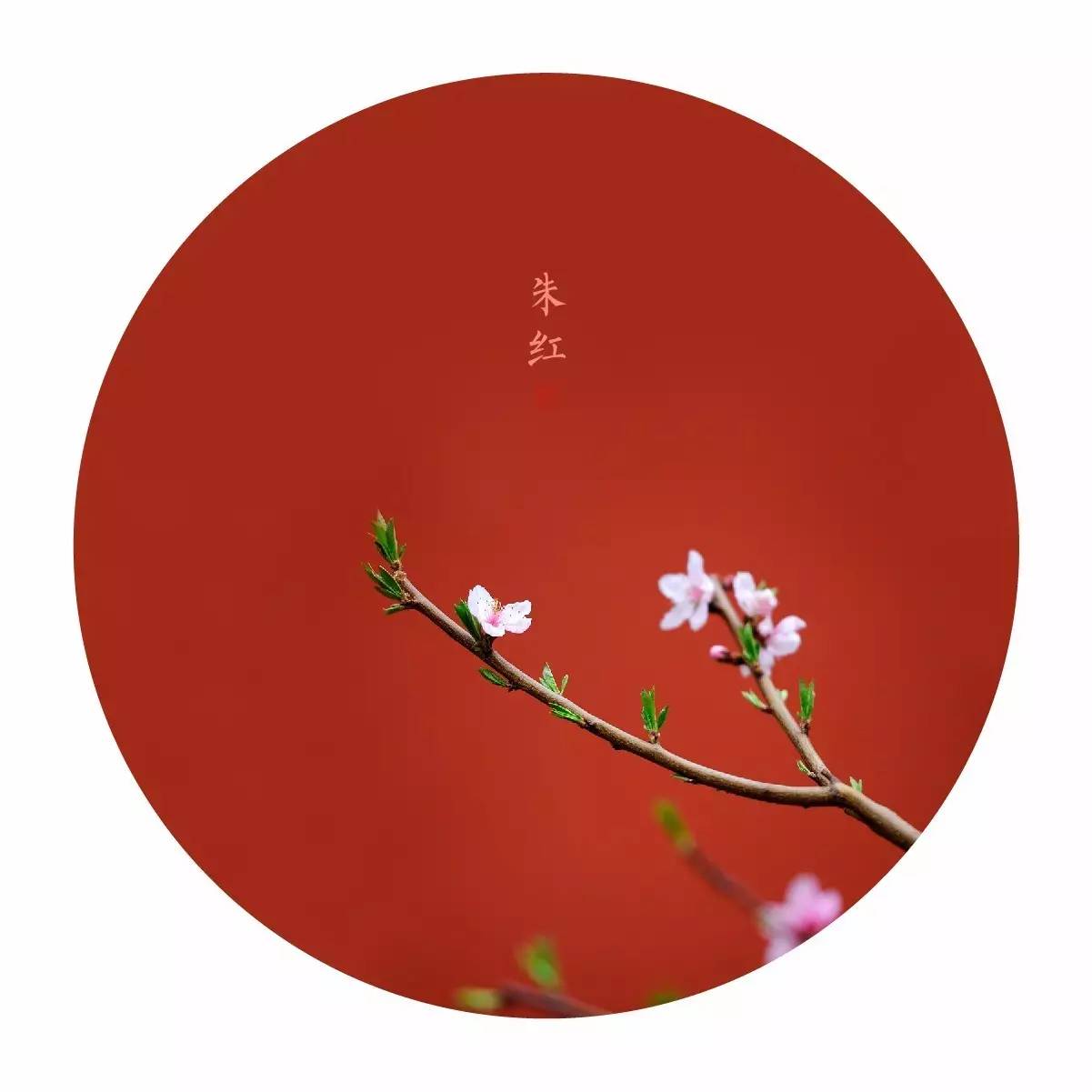 中國(guó)最美的配色：紫禁城古建筑的色彩美！