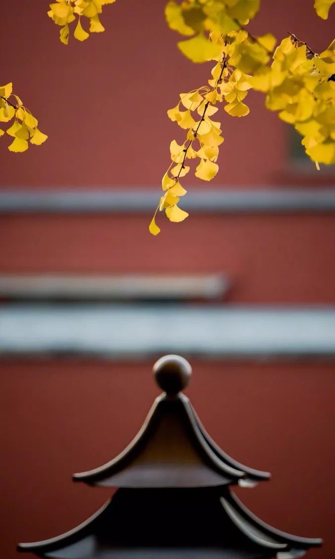 中國最美的配色：紫禁城古建筑的色彩美！