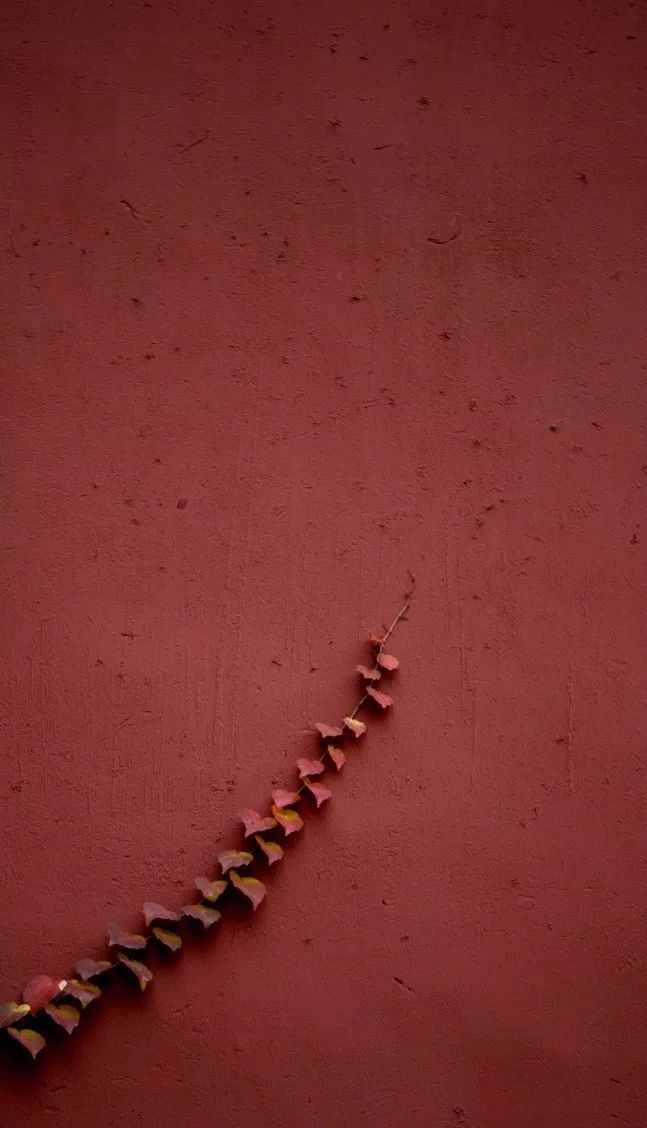 中國最美的配色：紫禁城古建筑的色彩美！