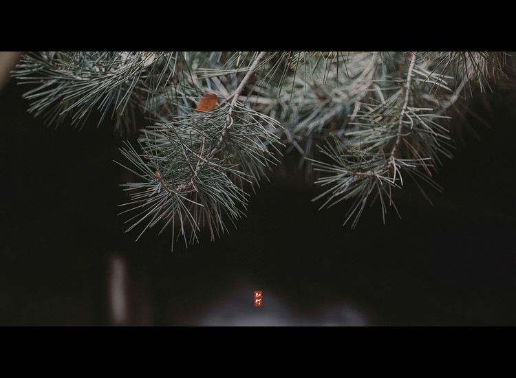 風(fēng)月·人像古裝攝影