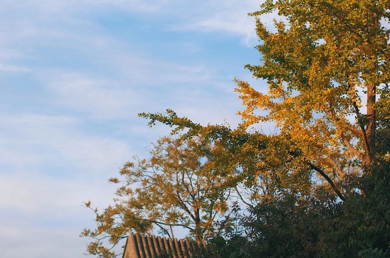 秋果·798店，愿你找回20年前的單純時光