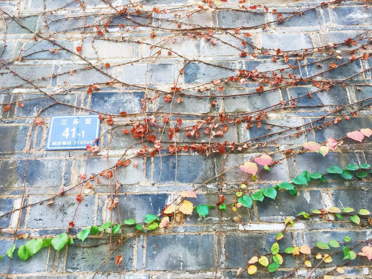 隱南·門東，有著金陵六朝古都的味道