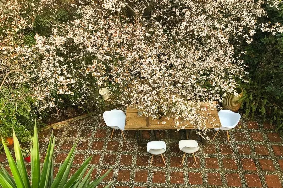 成都·肯派，把日子過成詩有酒有故事更有愛!