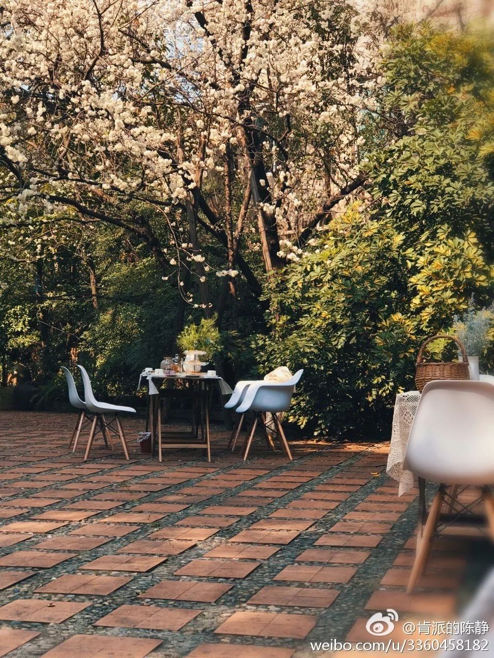 成都·肯派，把日子過成詩有酒有故事更有愛!