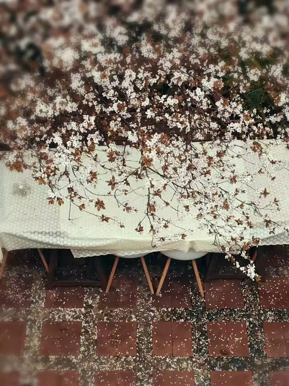 成都·肯派，把日子過成詩有酒有故事更有愛!