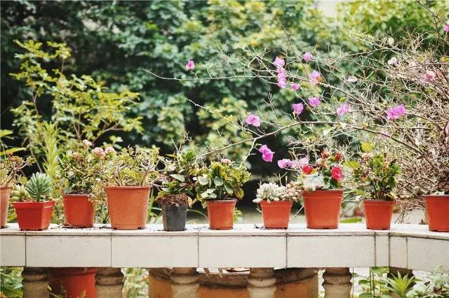 成都·肯派，把日子過成詩有酒有故事更有愛!