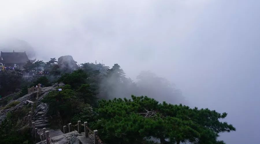 九華山·清竹里，延續(xù)和分享茶文化禪文化