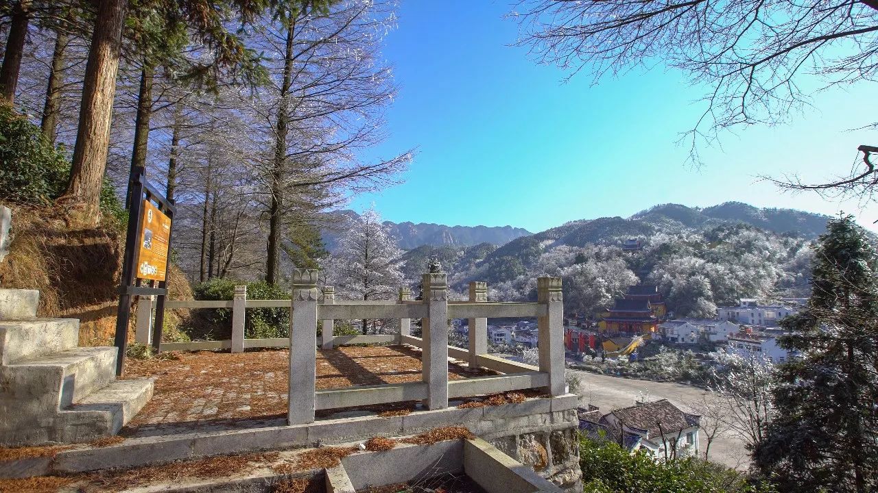 九華山·清竹里，延續(xù)和分享茶文化禪文化