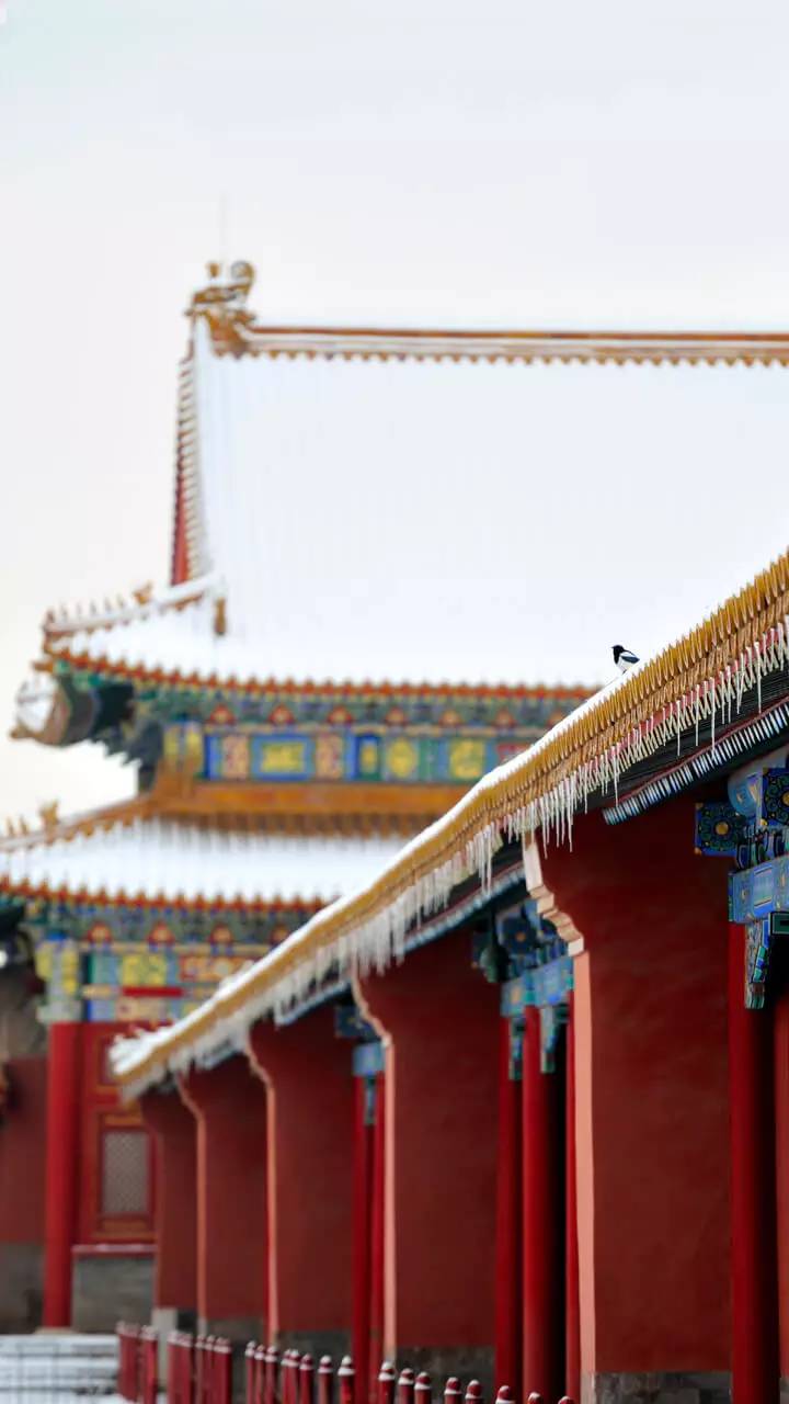 最美中國古建筑：紫禁城下雪了！