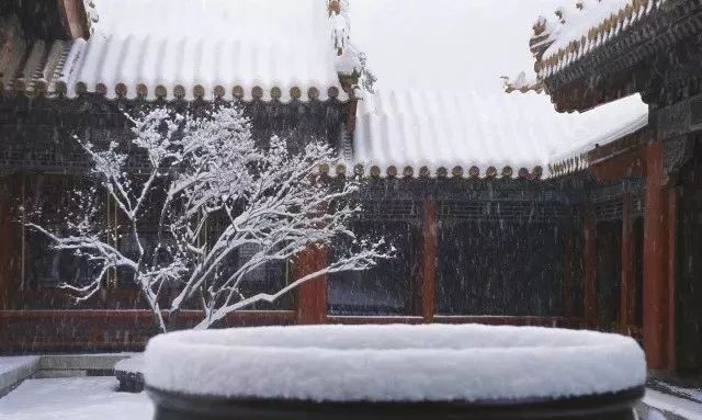 最美中國古建筑：紫禁城下雪了！