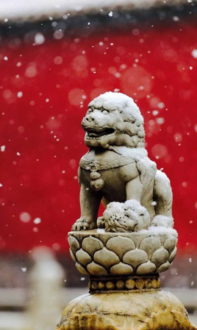 最美中國古建筑：紫禁城下雪了！