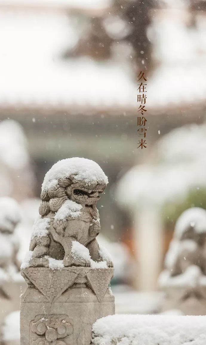 最美中國(guó)古建筑：紫禁城下雪了！