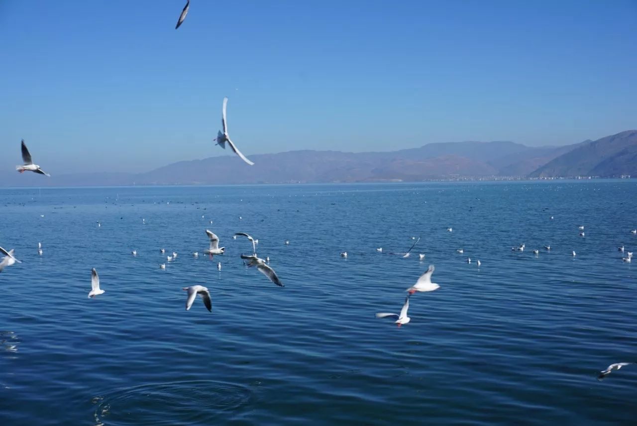 大理·胡思年月海景度假客棧，人間處處是道場(chǎng)