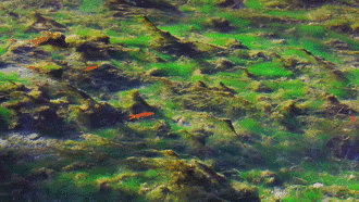 麗江·花田月舍，愿在某個(gè)瞬間尋回自己的初心