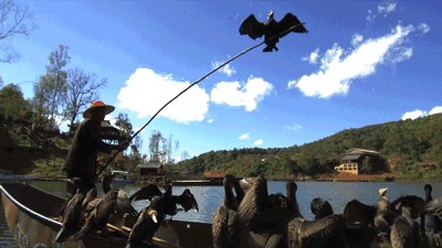 西盟·普洱民宿，偷得浮生半日閑心情半佛半神仙