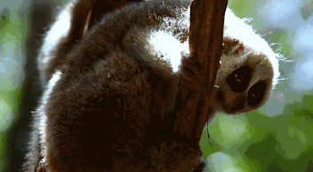 西盟·普洱民宿，偷得浮生半日閑心情半佛半神仙