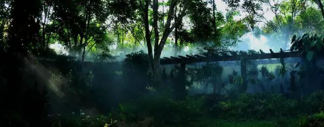 西盟·普洱民宿，偷得浮生半日閑心情半佛半神仙