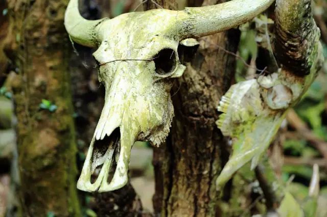 西盟·普洱民宿，偷得浮生半日閑心情半佛半神仙