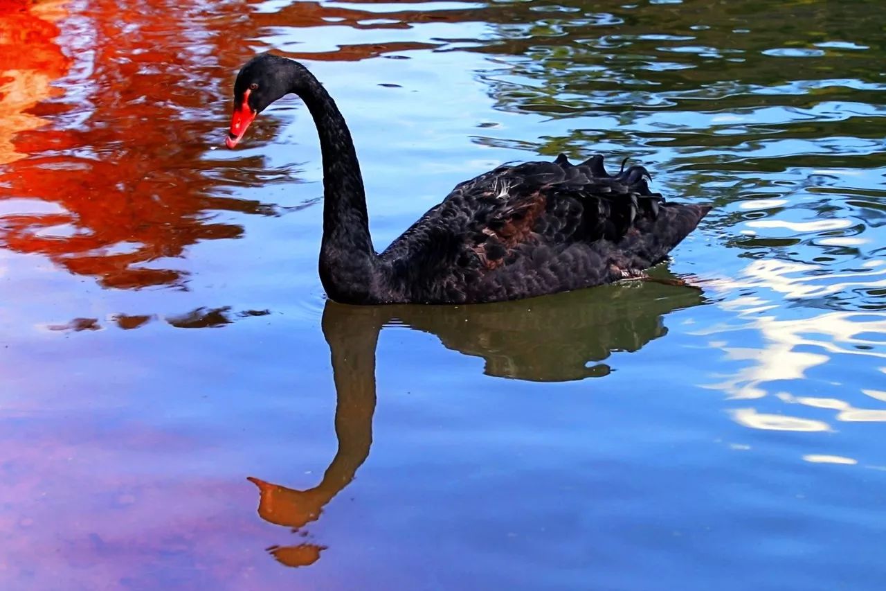 西盟·普洱民宿，偷得浮生半日閑心情半佛半神仙