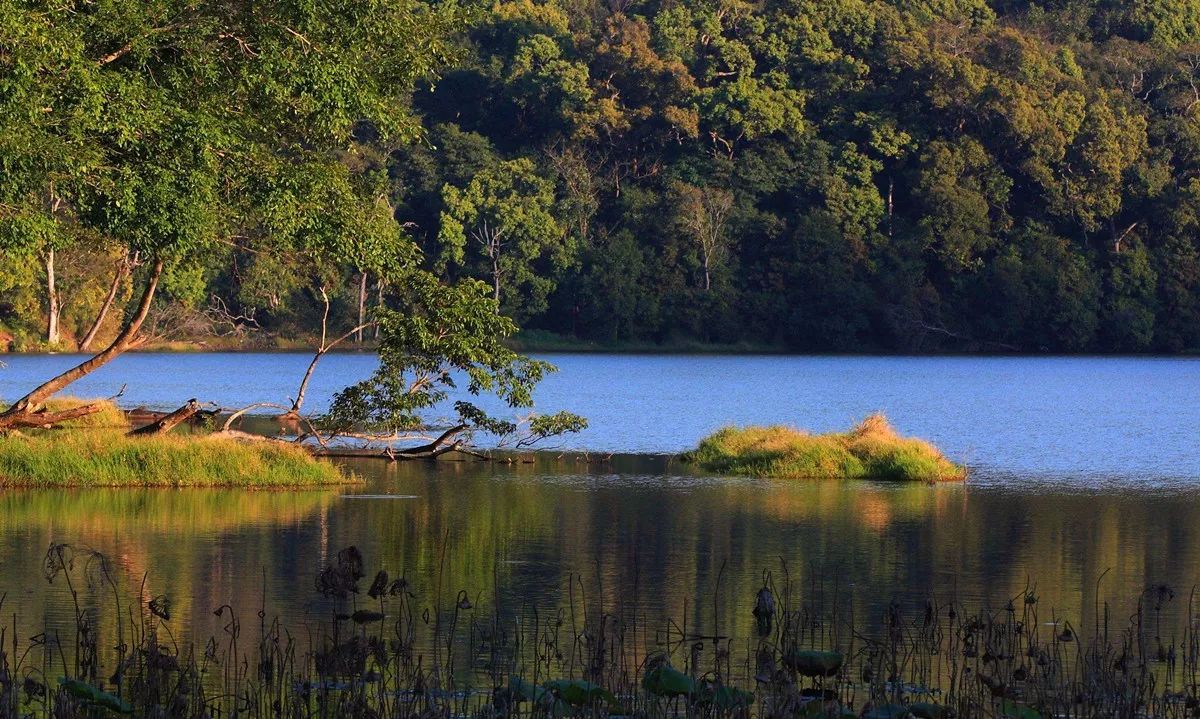 西盟·普洱民宿，偷得浮生半日閑心情半佛半神仙