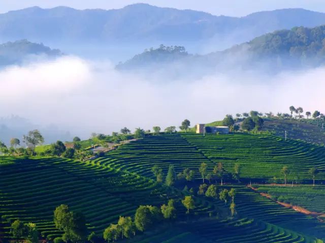 西盟·普洱民宿，偷得浮生半日閑心情半佛半神仙