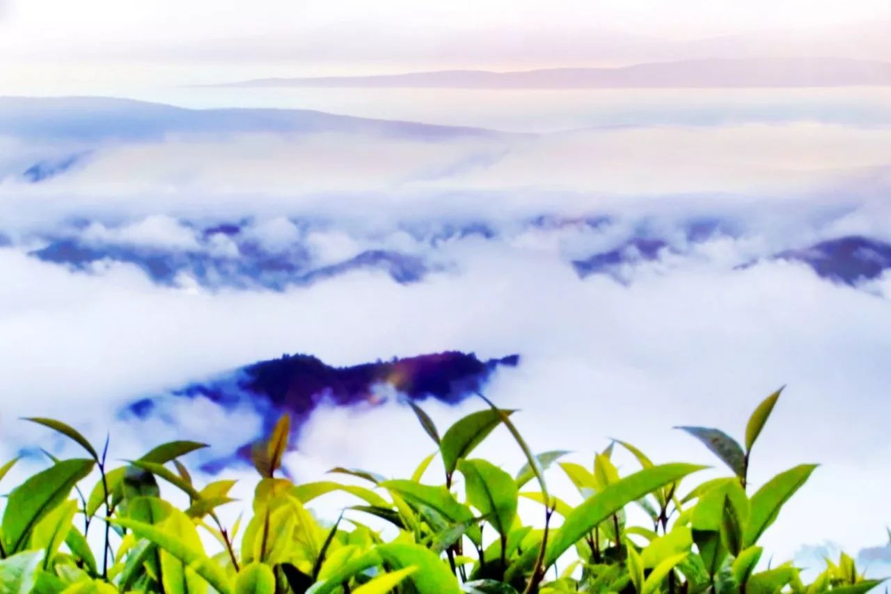 西盟·普洱民宿，偷得浮生半日閑心情半佛半神仙